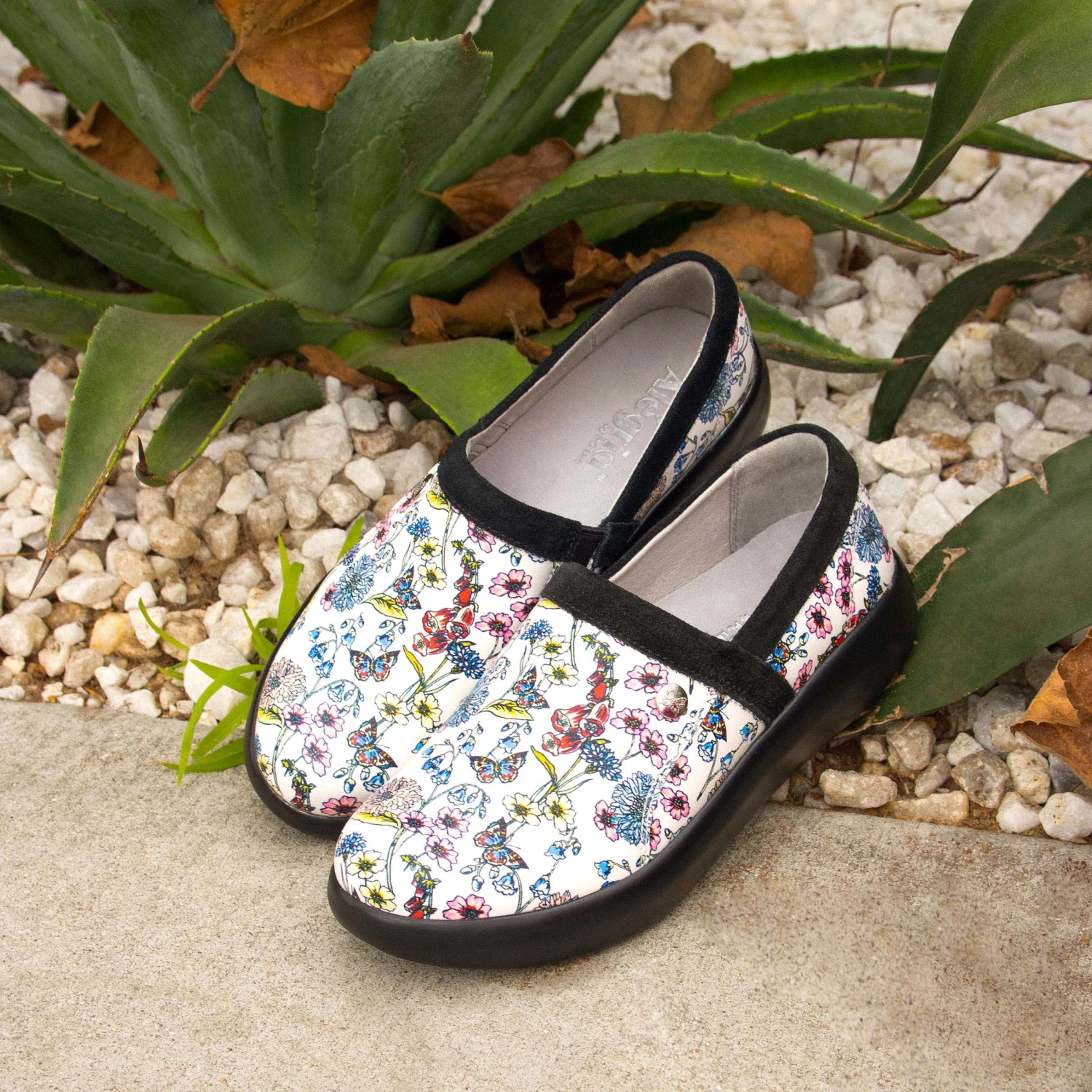 Shoes Emry Fine & Dandy Shoe 2 Shoes Emry Fine & Dandy Shoe - Image 2