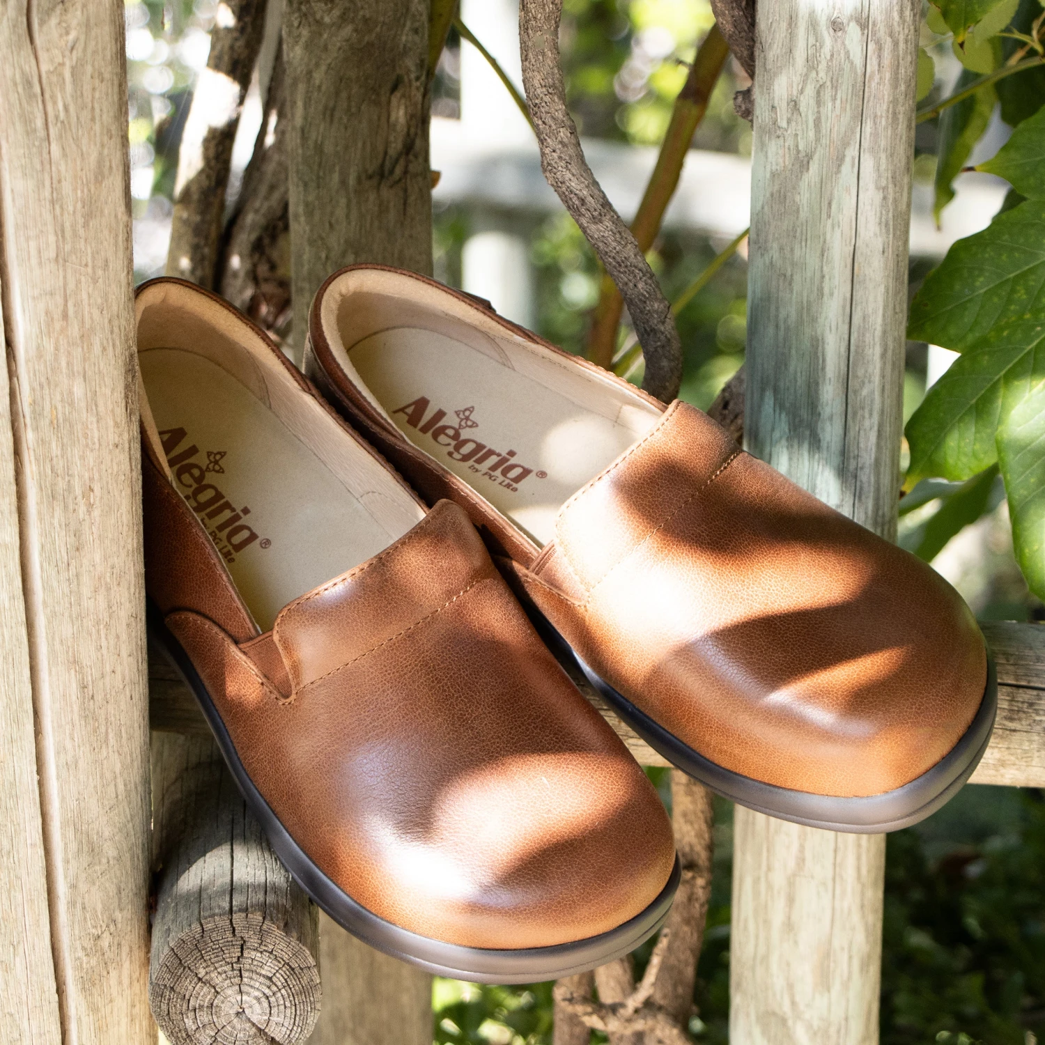 Shoes Keli Walnut Professional Shoe 2 Shoes Keli Walnut Professional Shoe - Image 2