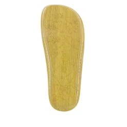 Venice Gold Your Own Way Sandal 9 Venice Gold Your Own Way Sandal -Alegria Shoes Shop VEN 293 S5