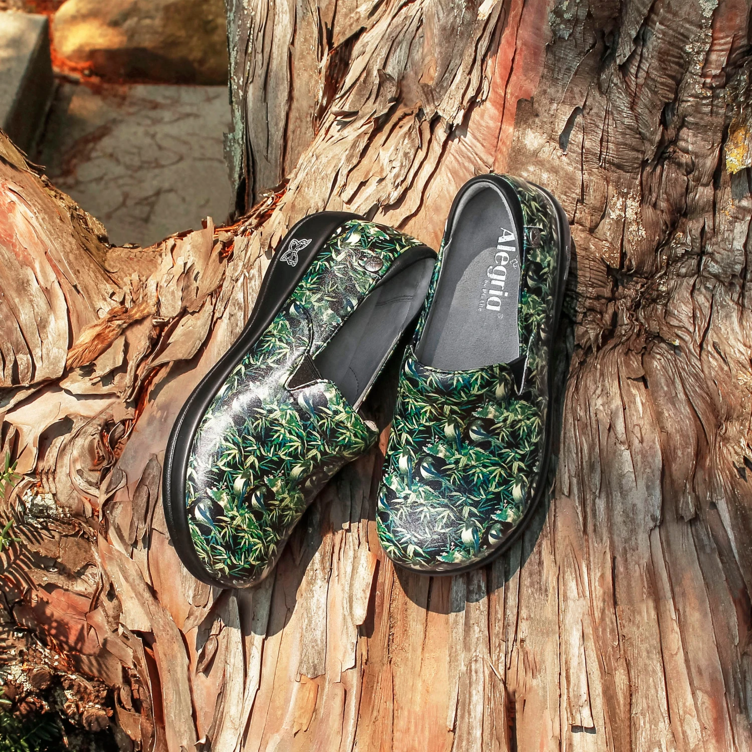 Shoes Keli Bamboo Professional Shoe 2 Shoes Keli Bamboo Professional Shoe - Image 2